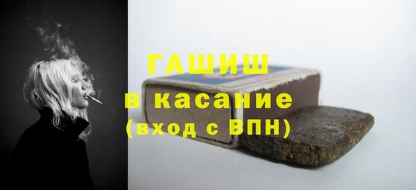 хмурый Алексин