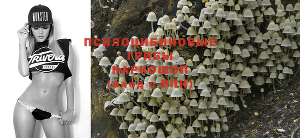 не бодяженный Алзамай