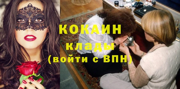 хмурый Алексин