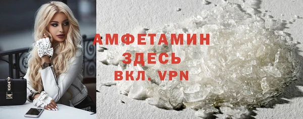 хмурый Алексин